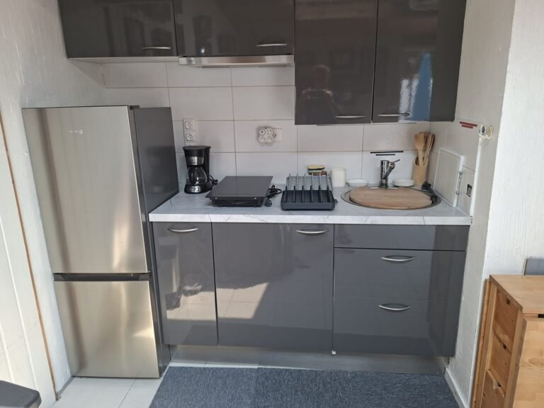 Kitchenette du studio : réfrigérateur-congélateur, plaque de cuisson, cafetière et évier